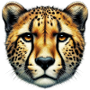 Gepard