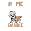 Home - Dandie Dinmont Terrier