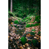 Waldbach