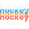 Forever hockey