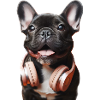 Bouledogue français avec écouteurs