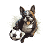 Bouledogue français Chien Soccer
