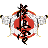 Kyokushin Karate