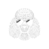 Papa caniche