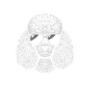 Maman caniche