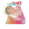 Capybara Funny Gift