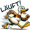 Flotte Laufente