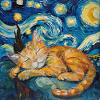 Chat, Motif De Chat
