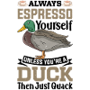 Duck Mallard