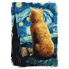 Chat Nuit étoilée