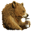 BEAR DRINKING COFFEE - coffee lovers t shirt