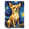 Gwiaździsta noc Chihuahua