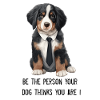 Bernese mountain dog
