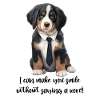 Bernese mountain dog