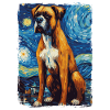 Boxer Nuit étoilée