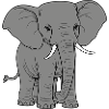 Éléphant