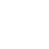 Homer