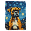 Boxer Starry Night