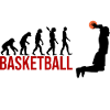 Evolution Basketball