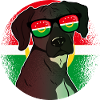 Arab Maghreb Union