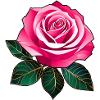 Pink Rose I
