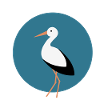 Storch blau
