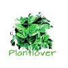 Philodendron, Plants, Plant, Lover
