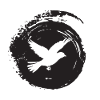 Wings, Wings, Flock of Birds