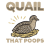 Quail Bird
