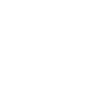 Taurus bull