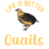 Quail Bird