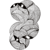 Modèle 11