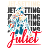 Flugbegleiterin, Flugbegleiterin, Stewardess
