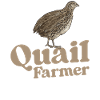 Quail Bird