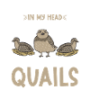 Quail Bird