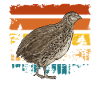 Quail Bird