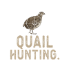 Quail Bird