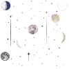 Moon Celestial Astrology