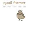 Quail Bird