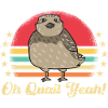 Quail Bird