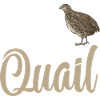 Quail Bird