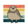 Quail Bird