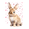 Cute Bunny