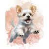 Flying Dog