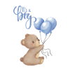 Its a boy