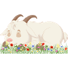 Sleeping Goat