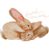 Cuddly bunnies