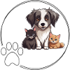 Dogs and cats love