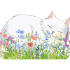 Sleeping Cat