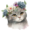 Flowers Kitten